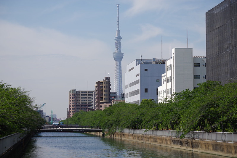 K1M21224.jpg