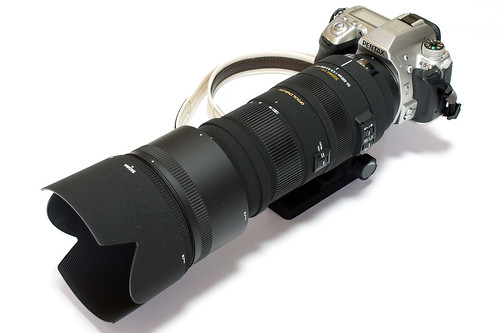 ❤日本販促❤ Nikon用SIGMA APO 50-500mm F4.5-6.3 超望遠 www